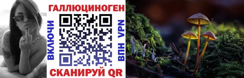 Купить где  Саки  Галлюциногенные грибы ЛСД 
